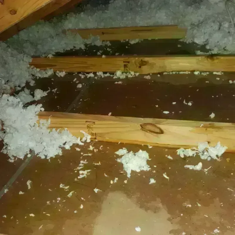 Attic Water Damage in Geneva, WA