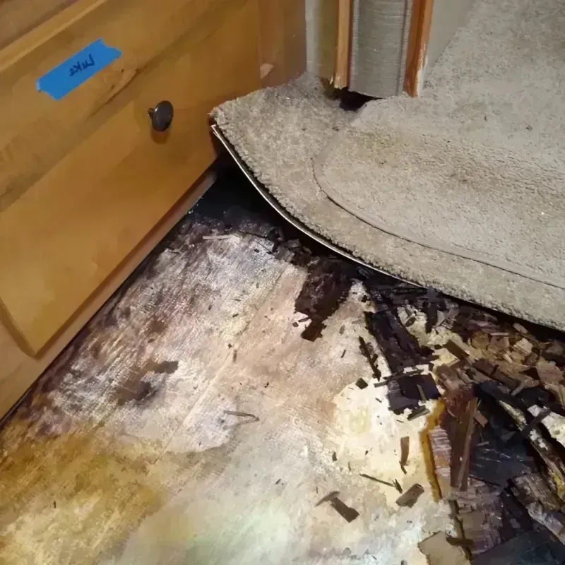 Best Wood Floor Water Damage Service in Geneva, WA